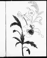 An illustration from The progressive art guide (without a teacher) [microform] : an entirely new method of self-instruction on modern arts, shown in their progressive stages of completion (1888)