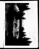 An illustration from The progressive art guide (without a teacher) [microform] : an entirely new method of self-instruction on modern arts, shown in their progressive stages of completion (1888)
