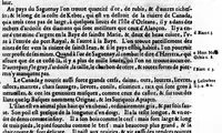 An illustration from Description générale de [sic] Amérique, troisième partie du monde [microforme] : auec tous ses empires, royaumes, estats, et républiques : où sont déduits & traictez par ordre leurs noms, assiette, confins, moeurs, richesses, forces, gouuernement & religion; et la généalogie des empereurs, roys, & princes souuerains, lesquels y ont dominé iusques à nostre temps (1643)
