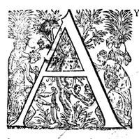 An illustration from La mecographie de l'Eymant [microforme] : c'est a dire, la description des longitudes trouvées par les observations des declinaisons de l'Eymant en laquelle par un moyen trescertain, & cy devant incognu ... (1604)