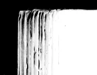 An illustration from The colour-sense [microform] : its origin and development : an essay in comparative psychology (1892)