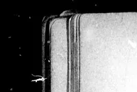 An illustration from The book of games, with directions how to play them [microform] (1898)