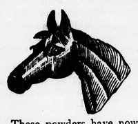 Picture 2 of 6 from Family recipe book [microform] (1873), leaf 17