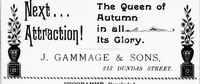 Picture 4 of 6 from Grand Opera House, London, Ont., programme [microform] : music, song & story, pictorially illustrated by Mr. G.H. Snazelle, Friday evening, February 15th . (1895), leaf 15