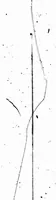 An illustration from The latest type fashions [microform] (1899)