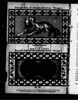 An illustration from Confection de paillassons et nattes [microforme] (1899)
