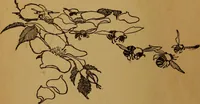 An illustration from Cinderella, or, The little glass slipper (1908)