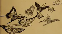 An illustration from Cinderella, or, The little glass slipper (1908)