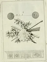 An illustration from I cinque ordini di architettura di Andrea Palladio : esposti per un' esatta istruzione di chi ama e coltiva questa billa utilissima arte (1784)