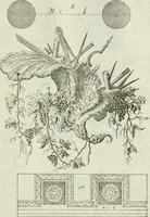 An illustration from I cinque ordini di architettura di Andrea Palladio : esposti per un' esatta istruzione di chi ama e coltiva questa billa utilissima arte (1784)