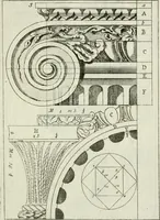 An illustration from I cinque ordini di architettura di Andrea Palladio : esposti per un' esatta istruzione di chi ama e coltiva questa billa utilissima arte (1784)