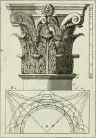 An illustration from I cinque ordini di architettura di Andrea Palladio : esposti per un' esatta istruzione di chi ama e coltiva questa billa utilissima arte (1784)