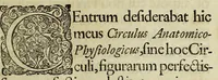 An illustration from Circulus anatomico-physiologicus : (1686)