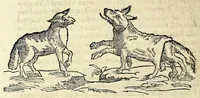 Picture 10 of 18 from Circulus horologI lunaris et solaris, hoc est, Breuissima synopsis, historica, typica et mystica : variis figuris & emblematis illustrata, repraesentans ex Vetere & Nouo Testamento continuam seriem praecipuarum ecclesiae & mundi mutationum, ceu horarum quarundam, praeteritarum, praesentium & secuturarum vlsque ad mundi consummationem (1616), leaf 150