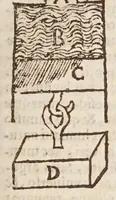 Picture 4 of 25 from Circulus Pisanus (1643), leaf 75