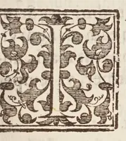 Picture 7 of 25 from Circulus Pisanus (1643), leaf 89