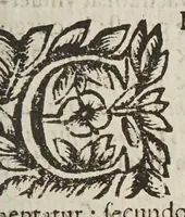An illustration from Circulus pisanus Claudii Berigardi ... de veteri et perpatetica philosophia in Aristotelis libros octo Physicorum : quatuor De caelo : duos De ortu & interitu : quatuor De meteoris, & tres De anima .. (1661)