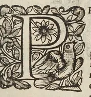 Picture 23 of 27 from Circulus pisanus Claudii Berigardi ... de veteri et perpatetica philosophia in Aristotelis libros octo Physicorum : quatuor De caelo : duos De ortu & interitu : quatuor De meteoris, & tres De anima .. (1661), leaf 637