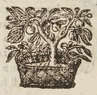 Picture 9 of 27 from Circulus pisanus Claudii Berigardi ... de veteri et perpatetica philosophia in Aristotelis libros octo Physicorum : quatuor De caelo : duos De ortu & interitu : quatuor De meteoris, & tres De anima .. (1661), leaf 94