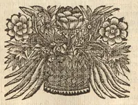 An illustration from Citricultura, oft, Regeringhe der uythemsche boomen te weten oranien, citroenen, limoenen, granaten, laurieren en andere : waer in beschreven is de gedaente ende kennisse der boomen, met hunne bloemen, bladeren en vruchten : van ieder geslacht in het besonder : als oock van den ranck-appel, oprechten laurier van America, den caneel-boom : ende besonderlijck van den verboden Adams oft paradys-appel : daer beneffens de natuere, kracht, en ghebruyck, haer deught en ondeught van ieder vrucht en plant : waer by oock grondigh gheleert wordt het zaeyen, mesten, planten, oculeren, inten, afsuyghen, inlegghen, besnoeyen, en begieten : oock de kennisse van het treuren ofte sieckten der boome, ende haere behulp-middelen : met alle het ghene dese boomen (soo wel in den winter, als in den somer) tot welstandt zijn versoeckende : ende dat alles naer den eysch van ons Nederlandts climaet (1682)