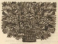 An illustration from Citricultura, oft, Regeringhe der uythemsche boomen te weten oranien, citroenen, limoenen, granaten, laurieren en andere : waer in beschreven is de gedaente ende kennisse der boomen, met hunne bloemen, bladeren en vruchten : van ieder geslacht in het besonder : als oock van den ranck-appel, oprechten laurier van America, den caneel-boom : ende besonderlijck van den verboden Adams oft paradys-appel : daer beneffens de natuere, kracht, en ghebruyck, haer deught en ondeught van ieder vrucht en plant : waer by oock grondigh gheleert wordt het zaeyen, mesten, planten, oculeren, inten, afsuyghen, inlegghen, besnoeyen, en begieten : oock de kennisse van het treuren ofte sieckten der boome, ende haere behulp-middelen : met alle het ghene dese boomen (soo wel in den winter, als in den somer) tot welstandt zijn versoeckende : ende dat alles naer den eysch van ons Nederlandts climaet (1682)