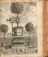 An illustration from Citricultura, oft, Regeringhe der uythemsche boomen te weten oranien, citroenen, limoenen, granaten, laurieren en andere : waer in beschreven is de gedaente ende kennisse der boomen, met hunne bloemen, bladeren en vruchten : van ieder geslacht in het besonder : als oock van den ranck-appel, oprechten laurier van America, den caneel-boom : ende besonderlijck van den verboden Adams oft paradys-appel : daer beneffens de natuere, kracht, en ghebruyck, haer deught en ondeught van ieder vrucht en plant : waer by oock grondigh gheleert wordt het zaeyen, mesten, planten, oculeren, inten, afsuyghen, inlegghen, besnoeyen, en begieten : oock de kennisse van het treuren ofte sieckten der boome, ende haere behulp-middelen : met alle het ghene dese boomen (soo wel in den winter, als in den somer) tot welstandt zijn versoeckende : ende dat alles naer den eysch van ons Nederlandts climaet (1682)