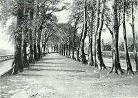 An illustration from City development, a study of parks, gardens, and culture-institutes; a report to the Carnegie Dunfermline trust (1904)