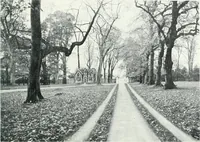 An illustration from City development, a study of parks, gardens, and culture-institutes; a report to the Carnegie Dunfermline trust (1904)