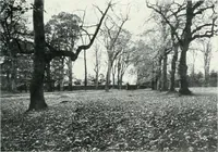 An illustration from City development, a study of parks, gardens, and culture-institutes; a report to the Carnegie Dunfermline trust (1904)