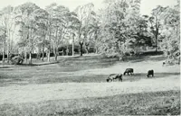 An illustration from City development, a study of parks, gardens, and culture-institutes; a report to the Carnegie Dunfermline trust (1904)