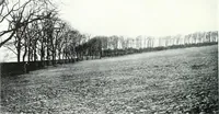 An illustration from City development, a study of parks, gardens, and culture-institutes; a report to the Carnegie Dunfermline trust (1904)