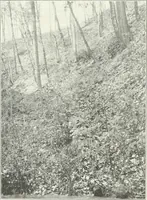 An illustration from City plan for Akron, prepared for Chamber of commerce (1919)