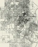 An illustration from City planning progress in the United States, 1917 (1917)