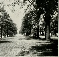 An illustration from City planning progress in the United States, 1917 (1917)