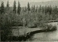 An illustration from City planning progress in the United States, 1917 (1917)