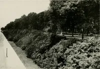 An illustration from City planning progress in the United States, 1917 (1917)
