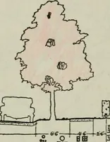 An illustration from City planning; a series of papers presenting the essential elements of a city plan (1916)