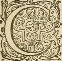 Picture 31 of 72 from Ciuitas veri, siue, Morum (1609), leaf 100