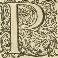 An illustration from Ciuitas veri, siue, Morum (1609)