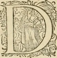 An illustration from Ciuitas veri, siue, Morum (1609)