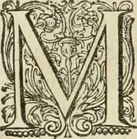 Picture 42 of 72 from Ciuitas veri, siue, Morum (1609), leaf 159
