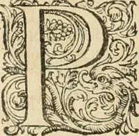 An illustration from Ciuitas veri, siue, Morum (1609)
