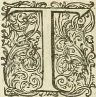 Picture 59 of 72 from Ciuitas veri, siue, Morum (1609), leaf 211