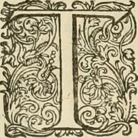 Picture 61 of 72 from Ciuitas veri, siue, Morum (1609), leaf 221