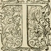 An illustration from Ciuitas veri, siue, Morum (1609)