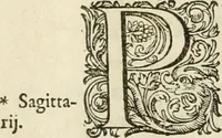 Picture 64 of 72 from Ciuitas veri, siue, Morum (1609), leaf 235