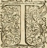 An illustration from Ciuitas veri, siue, Morum (1609)