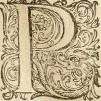 An illustration from Ciuitas veri, siue, Morum (1609)