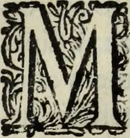 An illustration from C. Iulii Caesaris quae extant, cum selectis variorum commentariis, quorum plerique novi (1661)