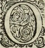 An illustration from C. Iulii Caesaris quae extant, cum selectis variorum commentariis, quorum plerique novi (1661)